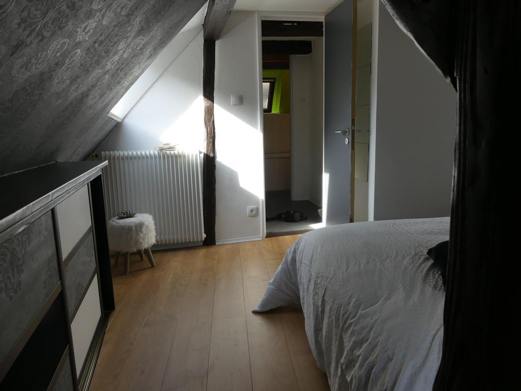 Appart Chaleureux Colmar Exteriör bild